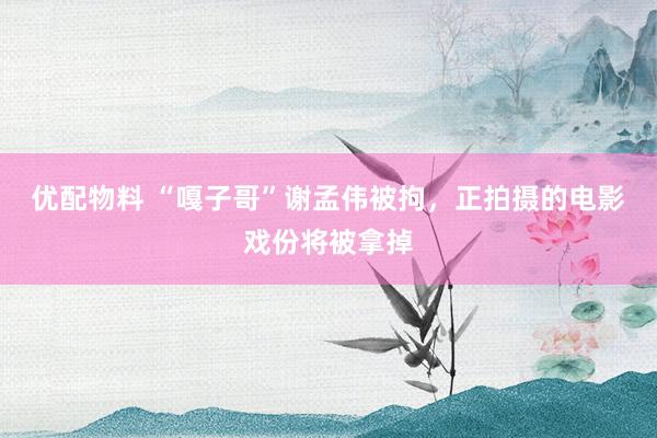 优配物料 “嘎子哥”谢孟伟被拘，正拍摄的电影戏份将被拿掉