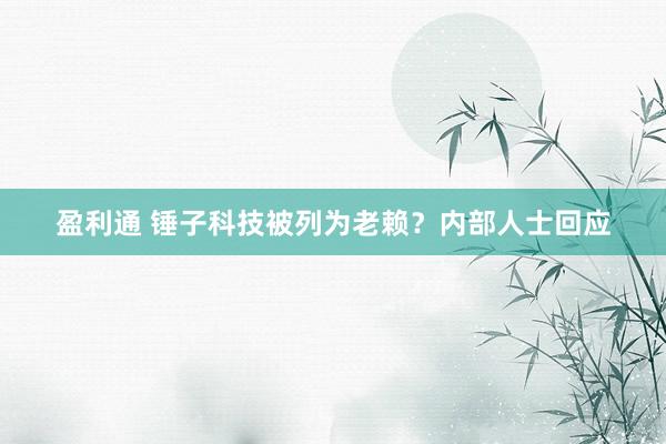 盈利通 锤子科技被列为老赖？内部人士回应