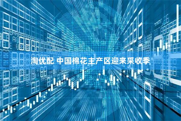 淘优配 中国棉花主产区迎来采收季