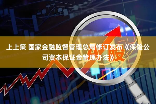 上上策 国家金融监督管理总局修订发布《保险公司资本保证金管理办法》